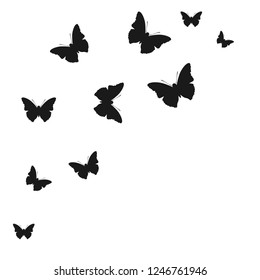 Set of butterfly silhouettes on white background - stock vector