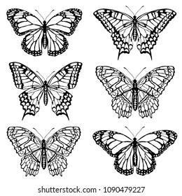Set of butterfly silhouettes. Realistic vector illustrations isolated on white background.
