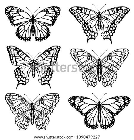 Set of butterfly silhouettes. Realistic vector illustrations isolated on white background.