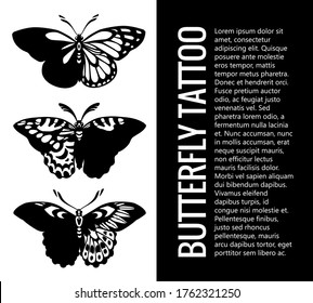 Set of Butterfly silhouettes . Tattoo butterfly. Tropical Butterflies. Mystical symbol of beautiful. Vintage illustration. It may be used for design of t-shirt, bag, cup, postcard, poster