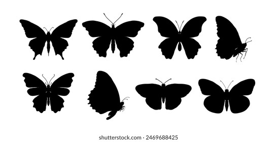 Set of butterfly silhouettes	- vector illustration