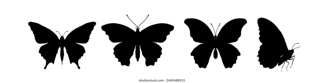 Set of butterfly silhouettes	 - vektor illustration