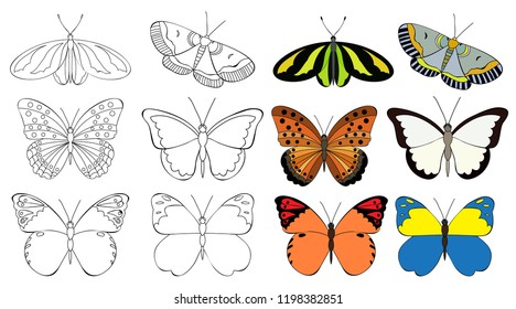 set of butterfly sketch