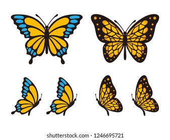 Set Of Butterfly Vector