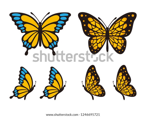 蝶のベクター画像のセット のベクター画像素材 ロイヤリティフリー
