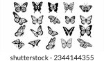 Set of Butterfly Vector, Beautiful Ornament Butterfly Decoration element Design