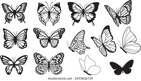 Set of Butterfly Vector, Beautiful Ornament Butterfly Design.