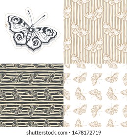 Set. Butterfly. Vector illustration of seamless patterns. 