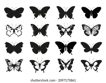 Set Butterfly Wings. Vector Illustration and outline Icons. Symbol of freedom.