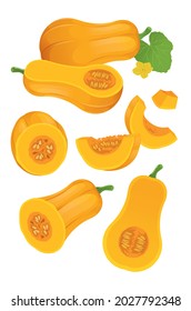 set of butternut squash with sliced butternut squash