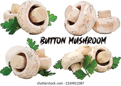 set of Button Mushroom with leaf