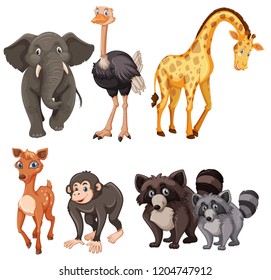 Set of c on white background illustration