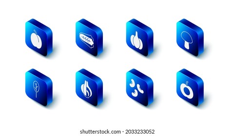 Set Cabbage, Garlic, Mushroom, Peach fruit, Beans, Onion, Spinach and Plum icon. Vector