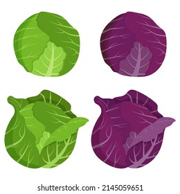 Set of cabbages isolated on white background. Flat vector illustration