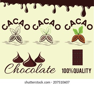 set of cacao beans and chocolate