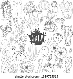 A set of cacti in black and white. Cactus sketch. Vector set of cacti, aloe and leaves. Collection of exotic plants. Decorative natural elements isolated on white. Cactus with flowers.