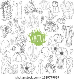 A set of cacti in black and white. Eskiz cactus. Vector set of cacti, aloe and leaves. Collection of exotic plants. Decorative natural elements isolated on white. Cactus with flowers.