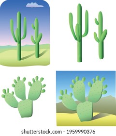 Set of cacti. Cactus plant. Vector art illustration
