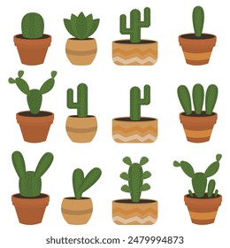 set of cacti with different shapes