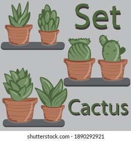 Set of cacti in flower pots. Collection of vector illustrations with cacti. Plants in pots on the shelves. Collection of pictures with the image of cacti.
