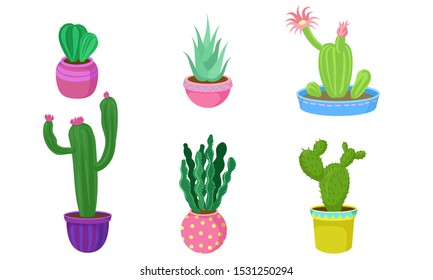 Set of cacti in flower pots. Vector illustration.