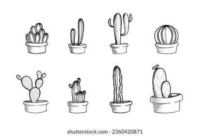 Juego de cactus con flores. Ilustración de Cactus dibujada a mano convertida en vector