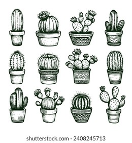 Set of cacti with flowers. Hand drawn illustration converted to vector