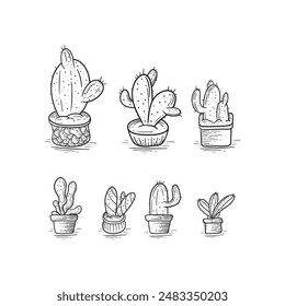 Set of cacti with flowers. Hand drawn Cactus illustration converted to vector