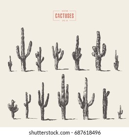 Set of cacti illustrations, hand drawn vector, sketch