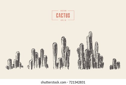 Set of cacti illustrations, hand drawn vector, sketch