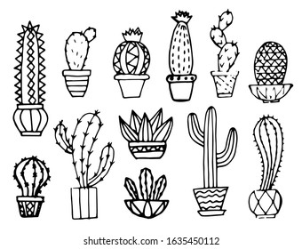 Set of cacti isolated on a white background. Hand drawn cactus. Vector illustration.