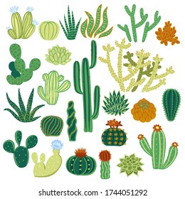 Set of cacti isolated on a white background. Vector graphics.