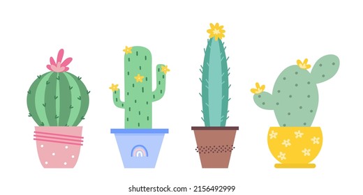 Plantas de cactus con flores en macetas de colores