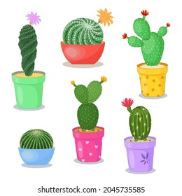 Set of cacti in pots in flat style. Illustration of home plants with spines and flowers.