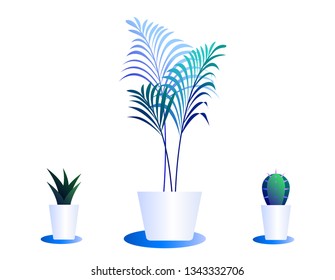 Set of cacti in pots. Illustration of bright color combinations. Icons of blue gradient color in clean minimal style.