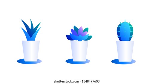 Set of cacti in pots. Illustration of bright color combinations. Icons of blue gradient and white colors in clean minimal style.
