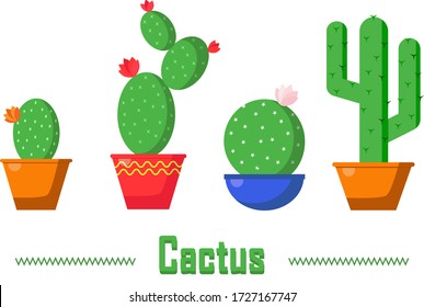 Set of cacti in pots. Long, round, oval, flowering and not, with spines and dots of cacti. Cactus home plant in flat illustration