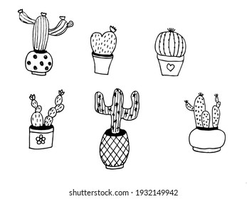 set of cacti in pots on a white background