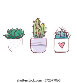 Set of cacti in pots, vector illustration