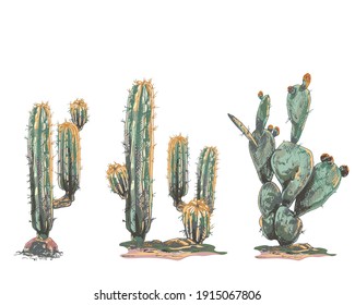 set of cacti, sand, hand drawn vector illustration, graphics, hand drawing, colored