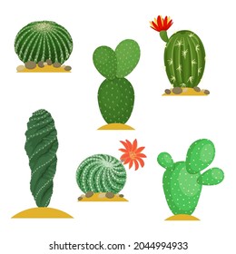 Set of cacti with spines and flowers in flat style. Illustration of desert and exotic plants.