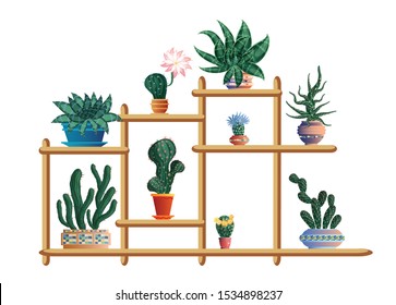 A set of cacti standing on a shelf in ceramic pots with mosaics.
 A collection of flowers for home and office decoration. Isolated image . vector graphic.