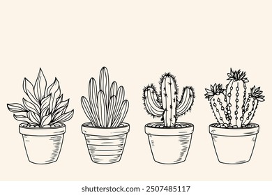 Set of Cacti succulent plants. Home plants one line ink sketch flowers in a pot decorative houseplant. Contour outline vector illustration