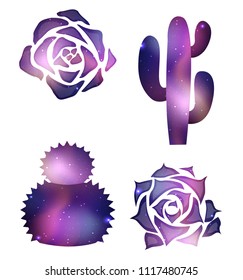 Set of cacti and succulents with a cosmic background. The object is separated from the background. Vector element for your creativity