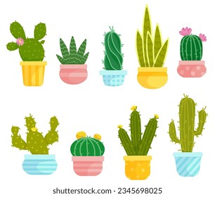 Set of cacti, succulents in flower pots.Vector graphics.