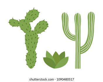Set of cacti and succulents. Opuntia. Isolated on white background. Vector illustration.