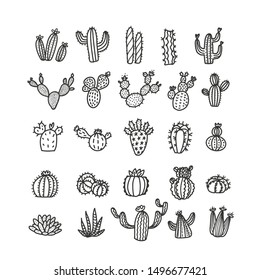 Set of cacti in trendy mono line style - art deco. It can be used as a stamp, postcard or print. Outlined vector cactuses illustration. Desert flowers withoup pots