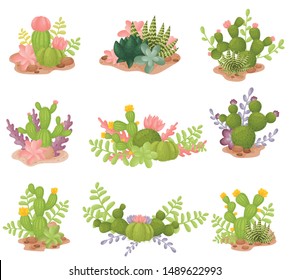 Set of cacti. Vector illustration on a white background.