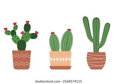 Set of cacti. Vector isolated illustration.