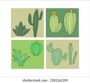 Set of Cactus with Background Illustrations Drawing
